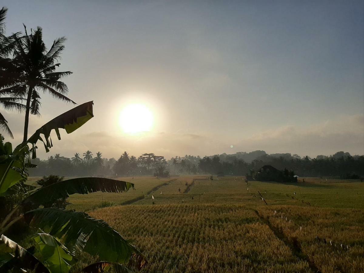 The Satya Villa Ubud Exteriör bild