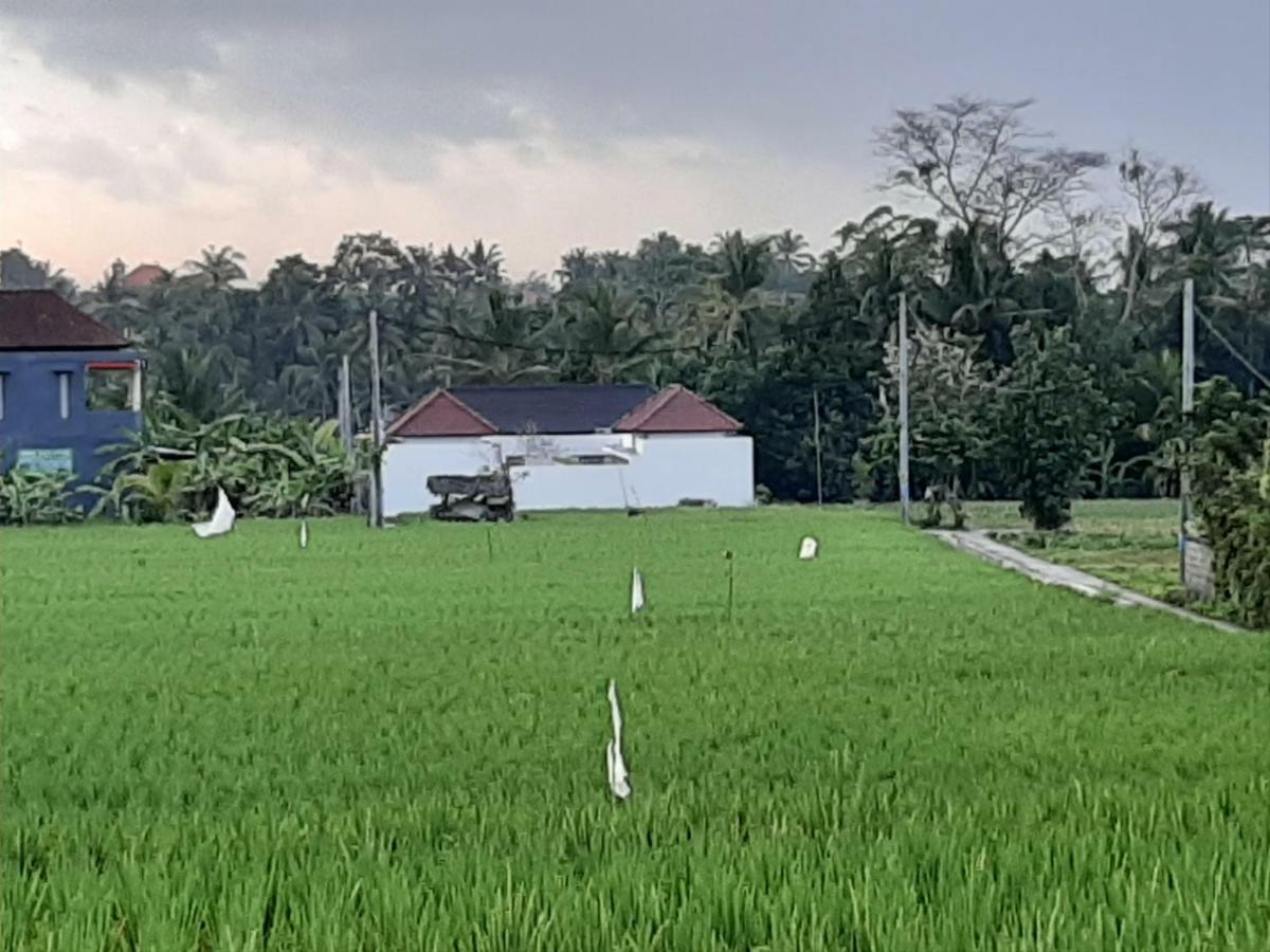 The Satya Villa Ubud Exteriör bild